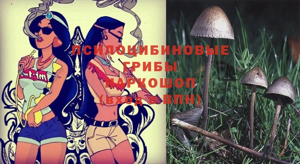 стафф Красноперекопск