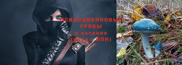 стафф Красноперекопск