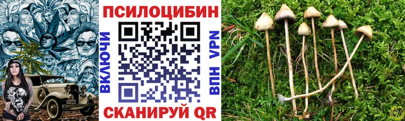 Псилоцибиновые грибы MAGIC MUSHROOMS  Елизаветинская 